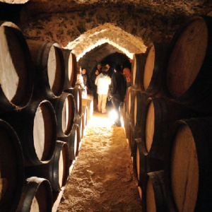 plek waar biologische rode wijn Verano Acrata wordt opgeslagen in ribera del duero