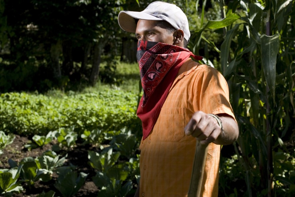 zapatista koffieboer op zijn democratische eerlijke en duurzame koffieplantage