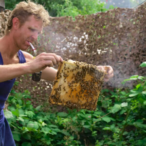 imker Ronald produceert lokale amsterdamse honing